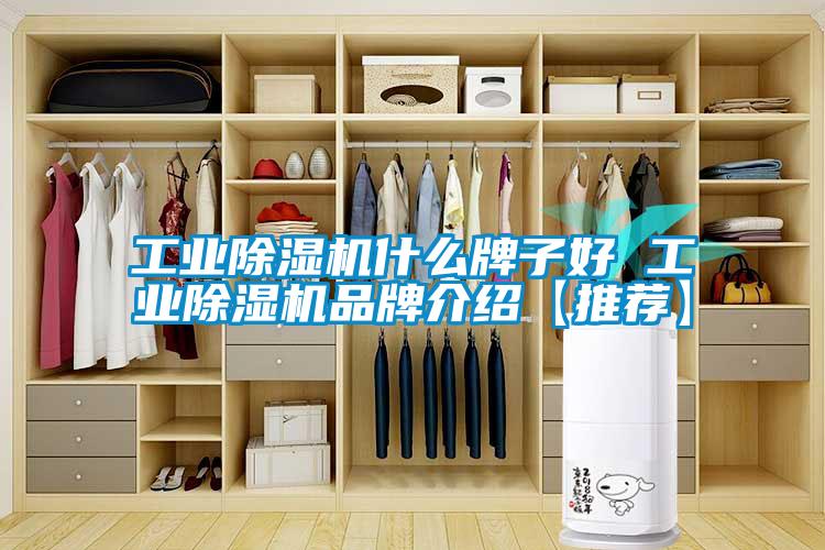 工业91抖音免费看片什么牌子好 工业91抖音免费看片品牌介绍【推荐】