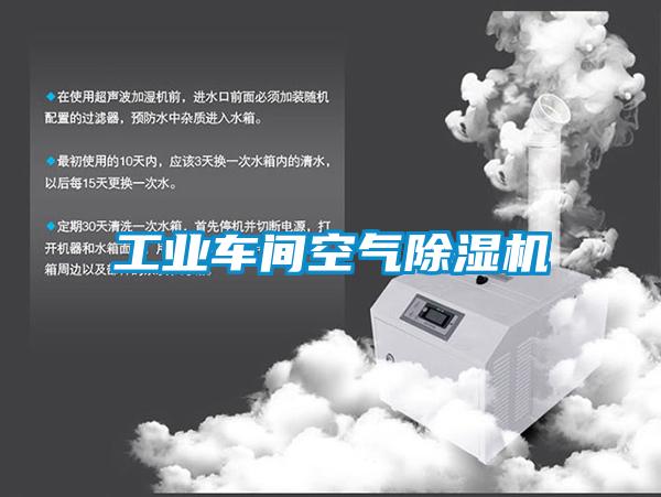 工业车间空气91抖音免费看片