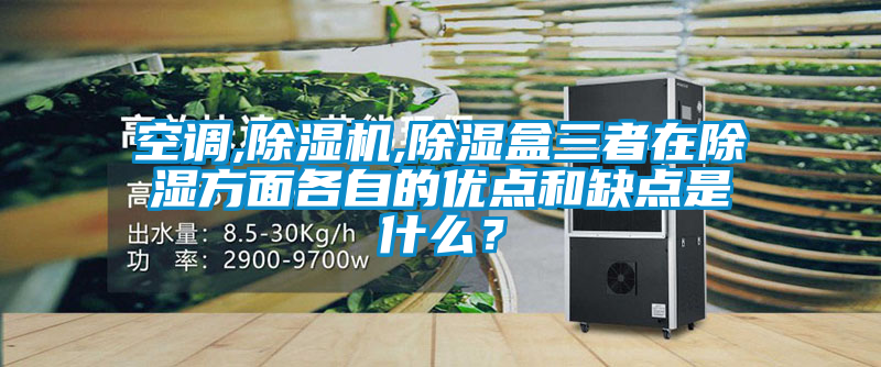 空调,91抖音免费看片,除湿盒三者在除湿方面各自的优点和缺点是什么？