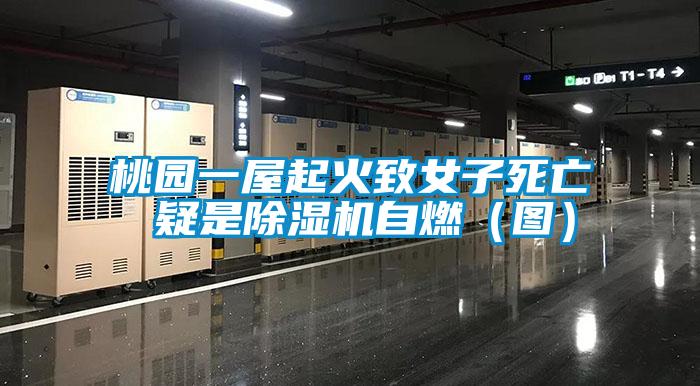 桃园一屋起火致女子死亡 疑是91抖音免费看片自燃（图）