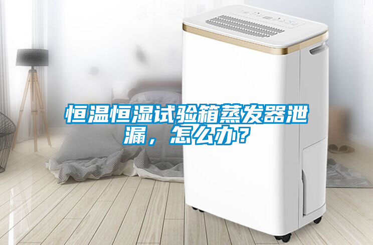 恒温恒湿试验箱蒸发器泄漏，怎么办？