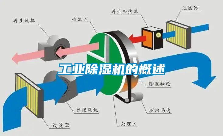 工业91抖音免费看片的概述