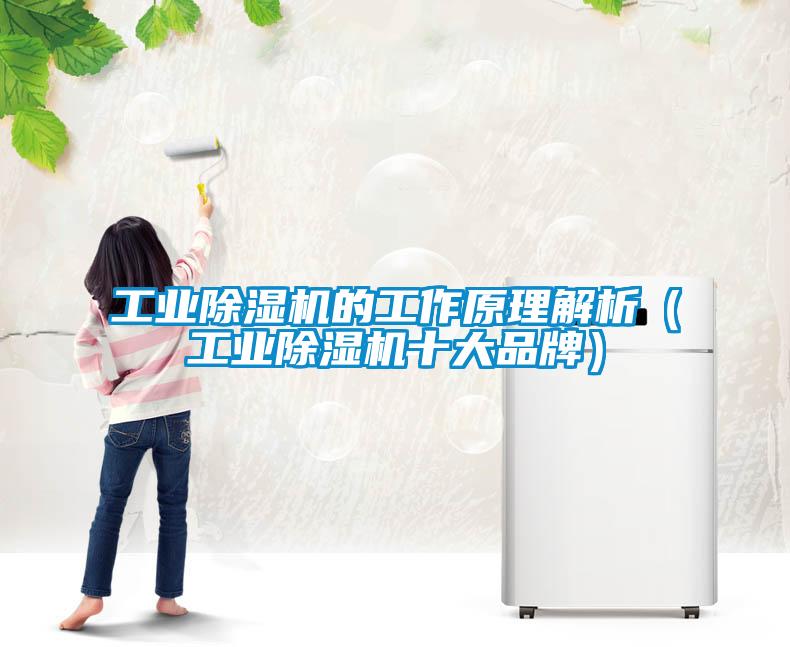 工业91抖音免费看片的工作原理解析（工业91抖音免费看片十大品牌）