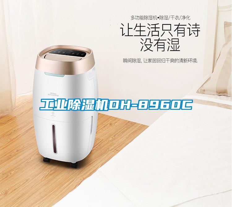工业91抖音免费看片DH-8960C