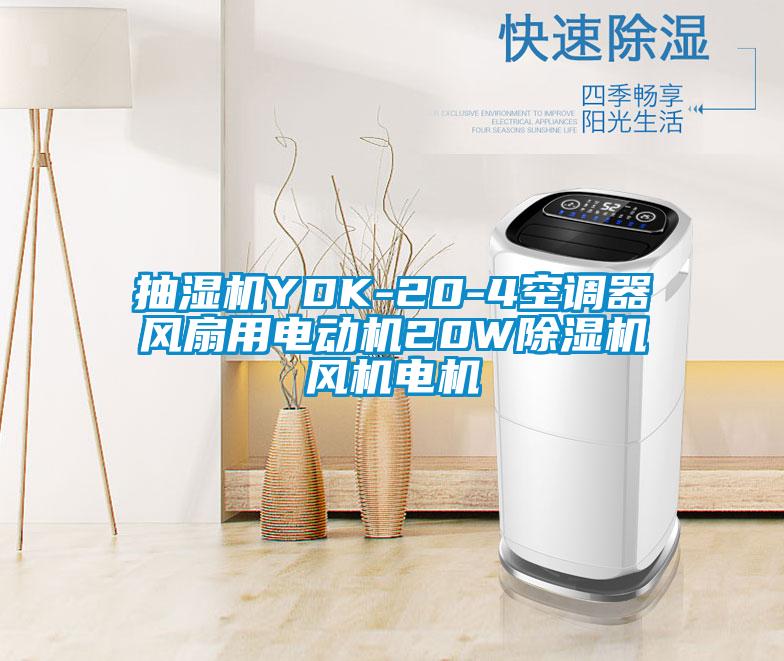 抽湿机YDK-20-4空调器风扇用电动机20W91抖音免费看片风机电机