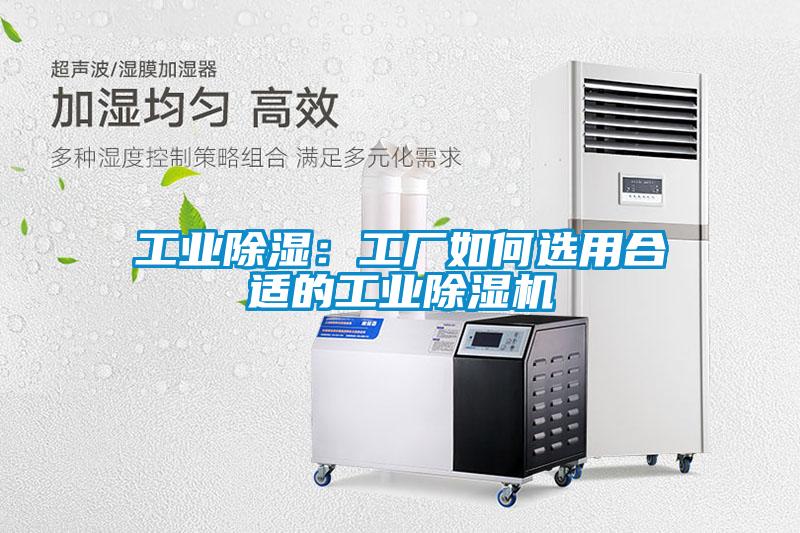 工业除湿：工厂如何选用合适的工业91抖音免费看片