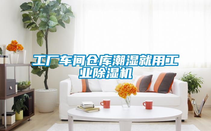 工厂车间仓库潮湿就用工业91抖音免费看片