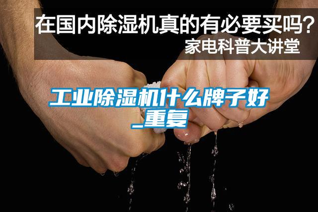 工业91抖音免费看片什么牌子好_重复