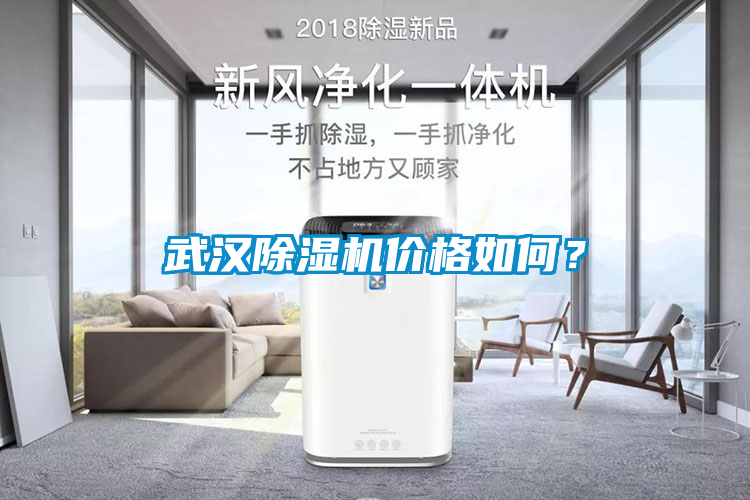 武汉91抖音免费看片价格如何？