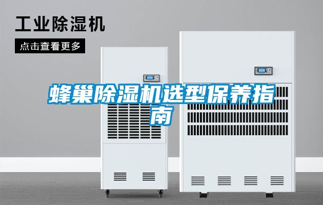 蜂巢91抖音免费看片选型保养指南