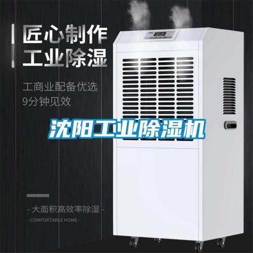 沈阳工业91抖音免费看片
