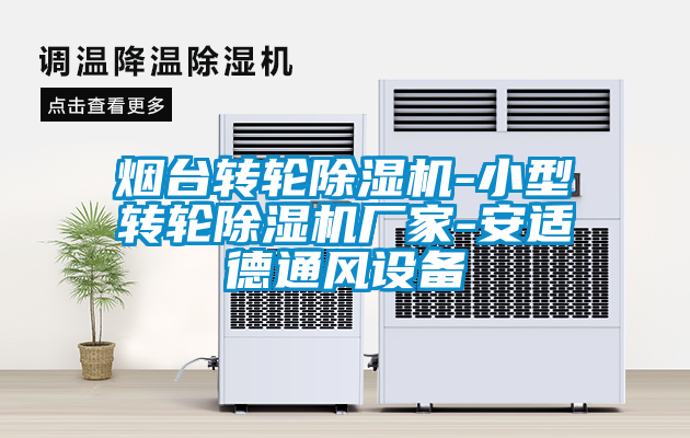 烟台转轮91抖音免费看片-小型转轮91抖音免费看片厂家-安适德通风设备
