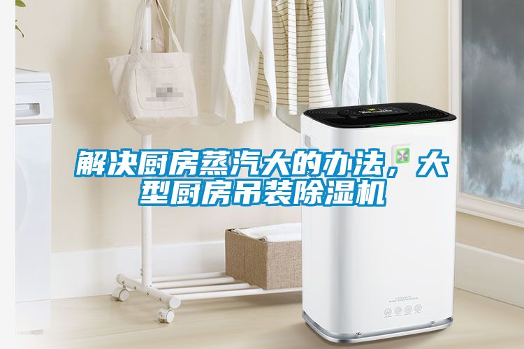 解决厨房蒸汽大的办法，大型厨房吊装91抖音免费看片