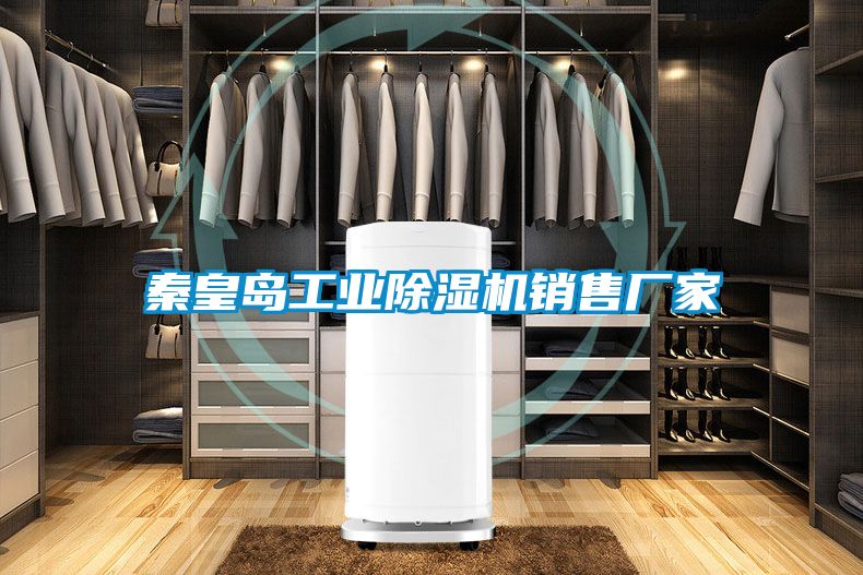 秦皇岛工业91抖音免费看片销售厂家