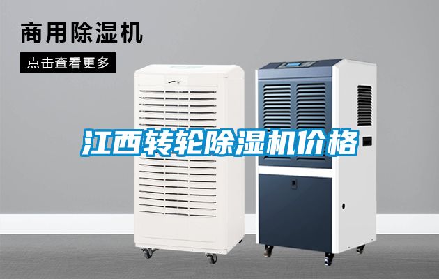 江西转轮91抖音免费看片价格