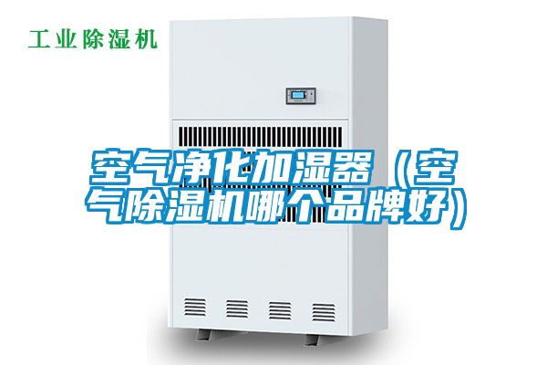 空气净化加湿器（空气91抖音免费看片哪个品牌好）