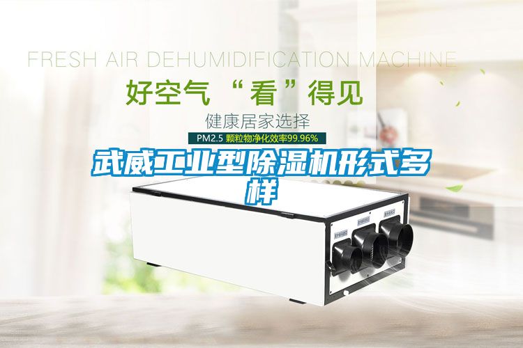 武威工业型91抖音免费看片形式多样