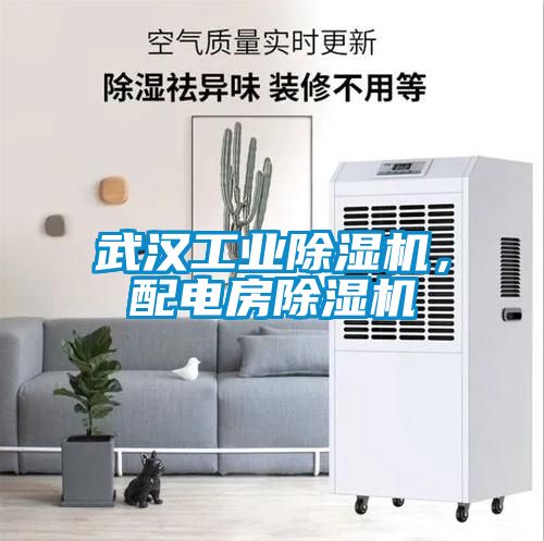 武汉工业91抖音免费看片，配电房91抖音免费看片