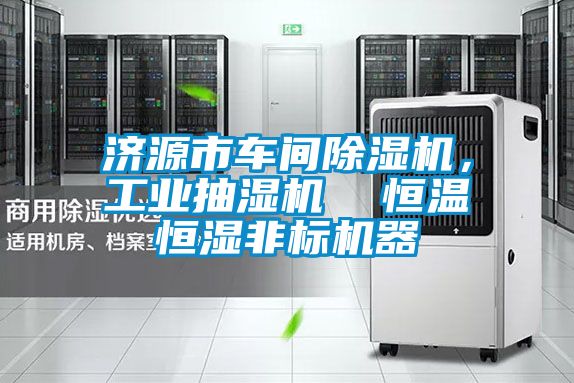 济源市车间91抖音免费看片，工业抽湿机  恒温恒湿非标机器