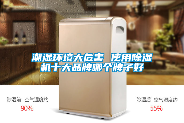 潮湿环境大危害 使用91抖音免费看片十大品牌哪个牌子好