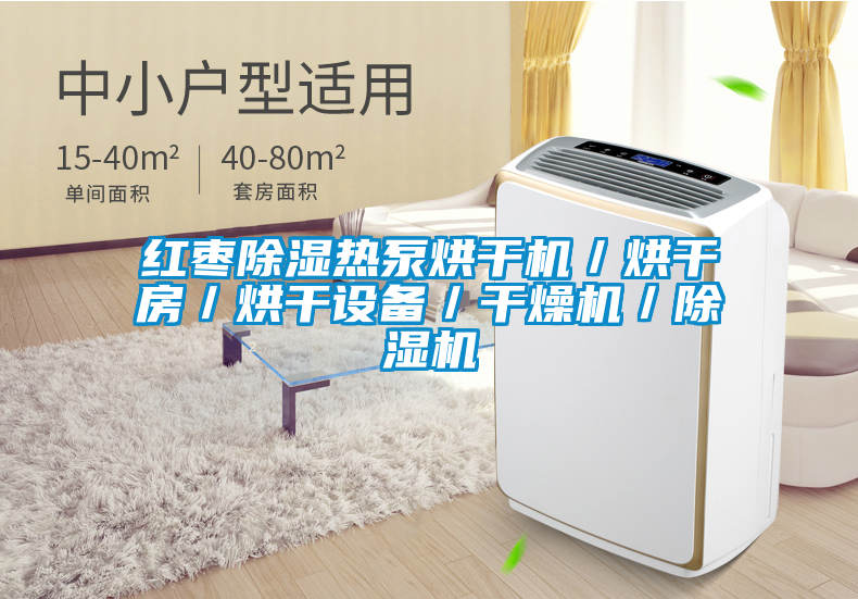 红枣除湿热泵烘干机／烘干房／烘干设备／干燥机／91抖音免费看片