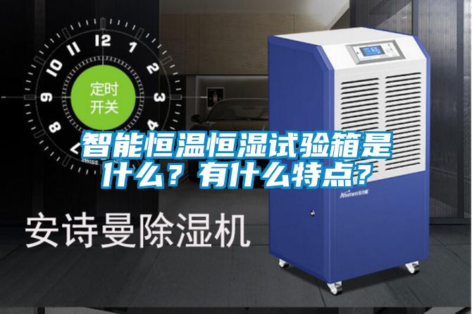 智能恒温恒湿试验箱是什么？有什么特点？