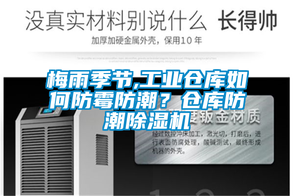 梅雨季节,工业仓库如何防霉防潮？仓库防潮91抖音免费看片