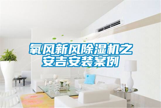 氧风新风91抖音免费看片之安吉安装案例
