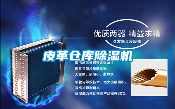 皮革仓库91抖音免费看片