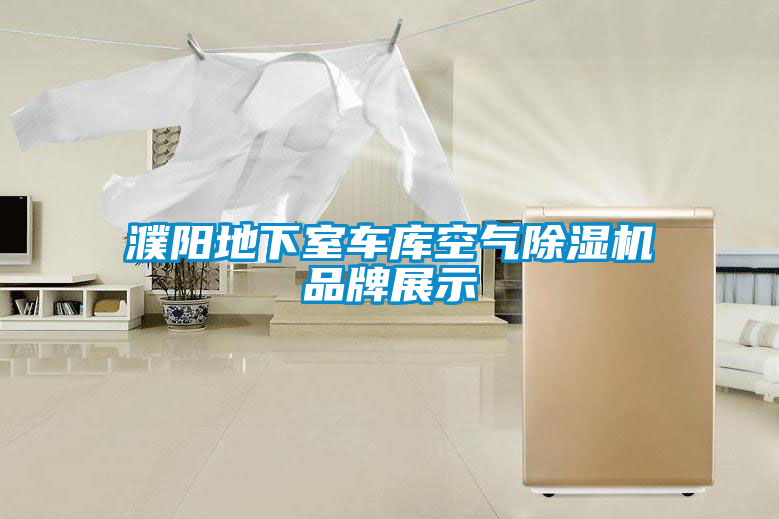 濮阳地下室车库空气91抖音免费看片品牌展示