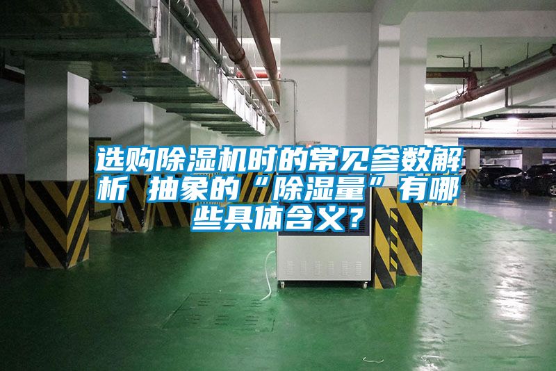 选购91抖音免费看片时的常见参数解析 抽象的“除湿量”有哪些具体含义？