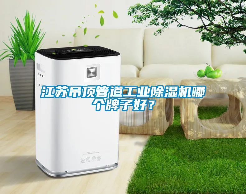 江苏吊顶管道工业91抖音免费看片哪个牌子好？
