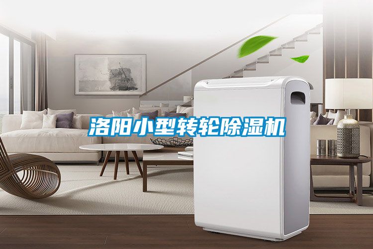洛阳小型转轮91抖音免费看片