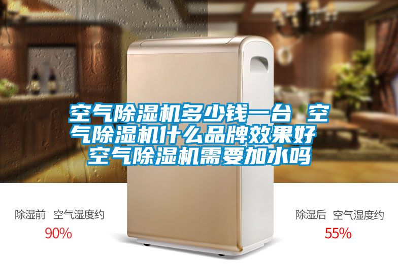 空气91抖音免费看片多少钱一台 空气91抖音免费看片什么品牌效果好 空气91抖音免费看片需要加水吗