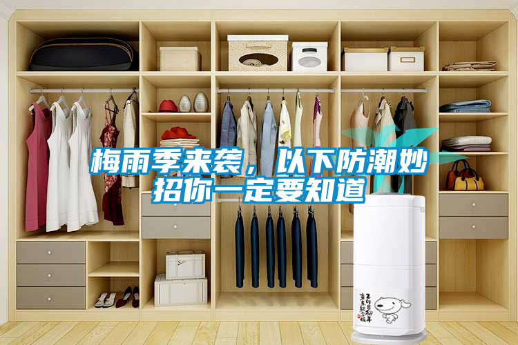 梅雨季来袭，以下防潮妙招你一定要知道