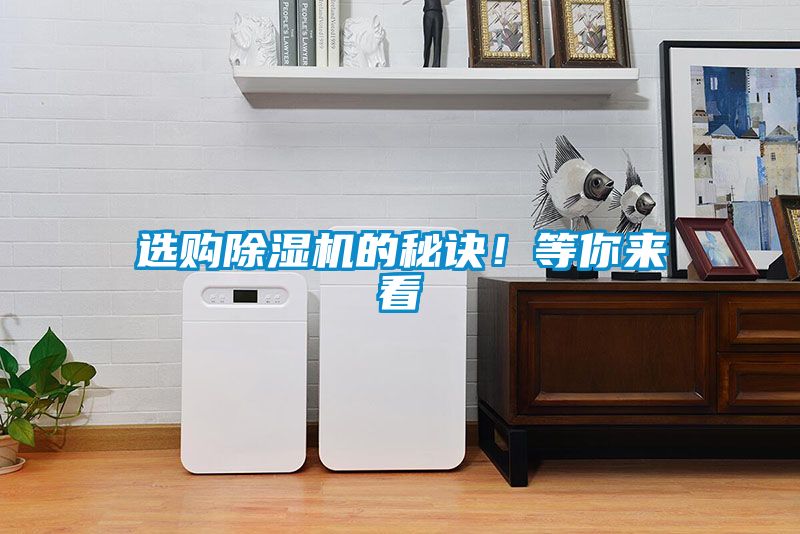 选购91抖音免费看片的秘诀！等你来看
