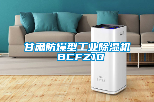 甘肃防爆型工业91抖音免费看片 BCFZ10