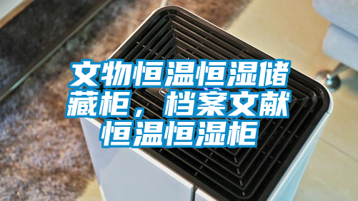 文物恒温恒湿储藏柜，档案文献恒温恒湿柜
