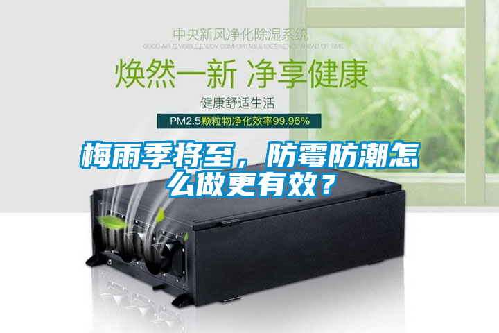 梅雨季将至，防霉防潮怎么做更有效？