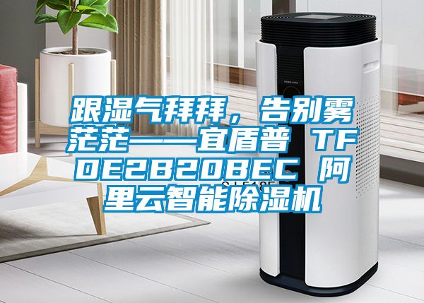 跟湿气拜拜，告别雾茫茫——宜盾普 TFDE2B20BEC 阿里云智能91抖音免费看片
