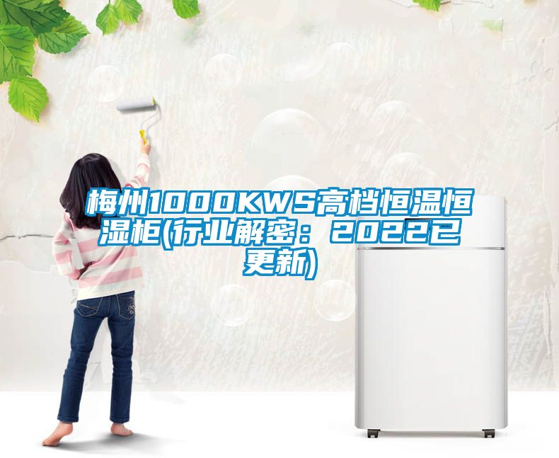 梅州1000KWS高档恒温恒湿柜(行业解密：2022已更新)