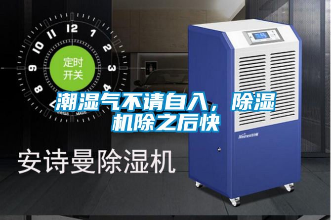 潮湿气不请自入，91抖音免费看片除之后快