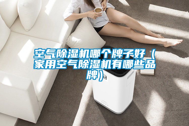 空气91抖音免费看片哪个牌子好（家用空气91抖音免费看片有哪些品牌）
