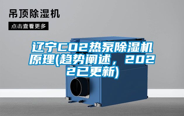 辽宁CO2热泵91抖音免费看片原理(趋势阐述，2022已更新)