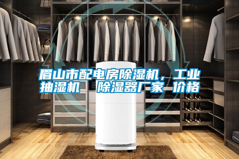 眉山市配电房91抖音免费看片，工业抽湿机  除湿器厂家 价格