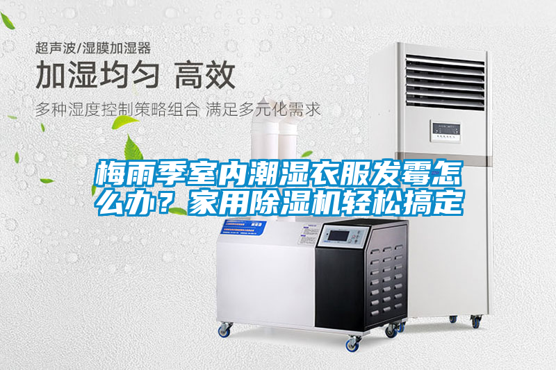 梅雨季室内潮湿衣服发霉怎么办？家用91抖音免费看片轻松搞定