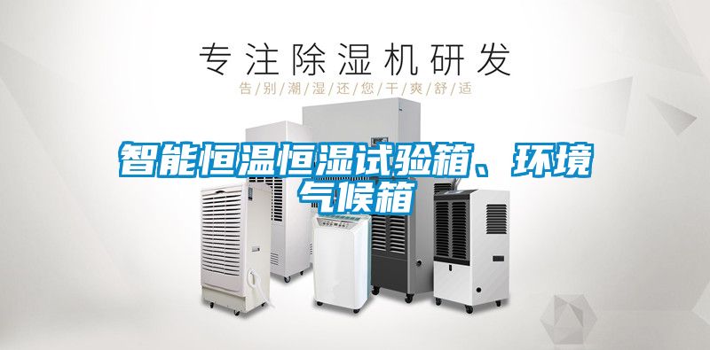智能恒温恒湿试验箱、环境气候箱