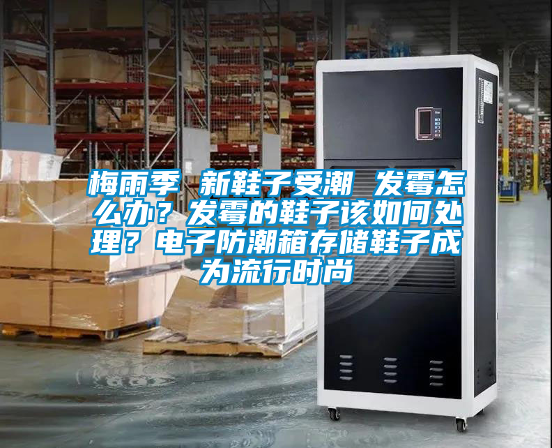 梅雨季 新鞋子受潮 发霉怎么办？发霉的鞋子该如何处理？电子防潮箱存储鞋子成为流行时尚