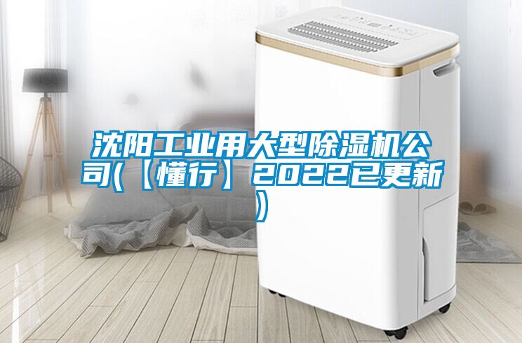 沈阳工业用大型91抖音免费看片公司(【懂行】2022已更新)