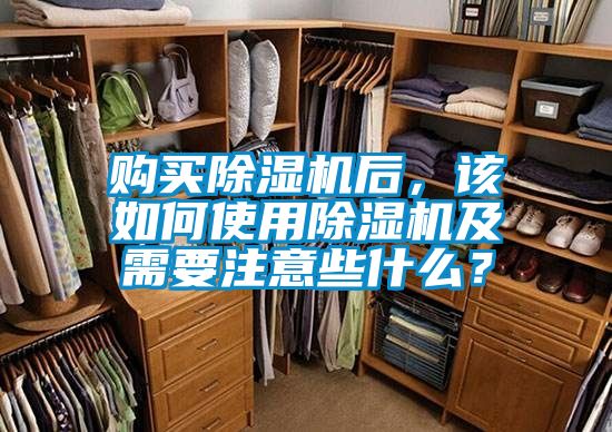 购买91抖音免费看片后，该如何使用91抖音免费看片及需要注意些什么？